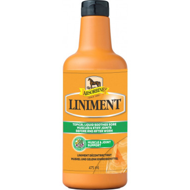 Unguent De Relaxare Absorbine 