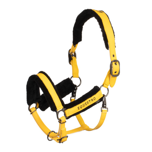 Capastru Cu Blanita Sintetica Equestro 