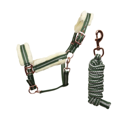 Capastru horses cu lesa 