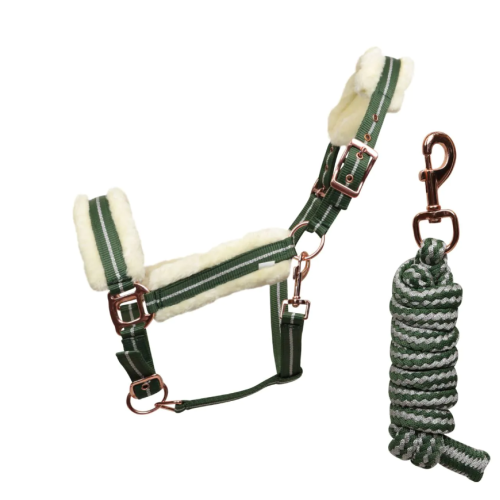 Capastru horses cu lesa 