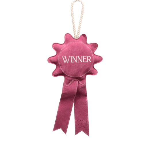 Jucarie pentru boxa Winner 