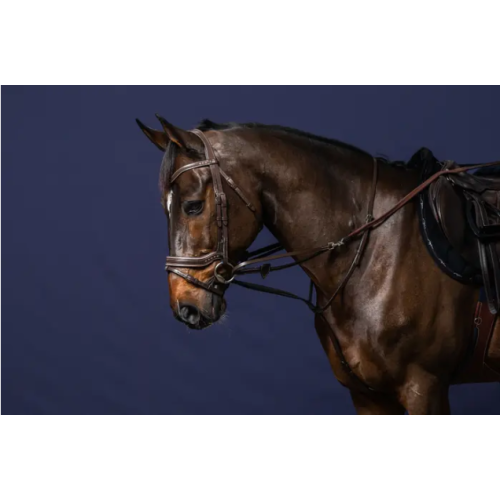 Darlogi Howlett 1/2 cu 7 opritoare din piele cu manerul din cauciuc  Dy'On