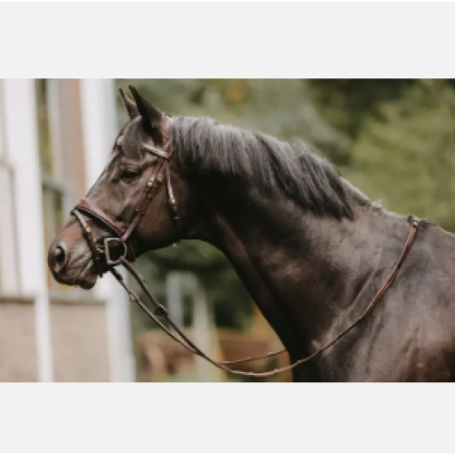 Darlogi Hunter cu 7 opritori 5/8 Dy'On