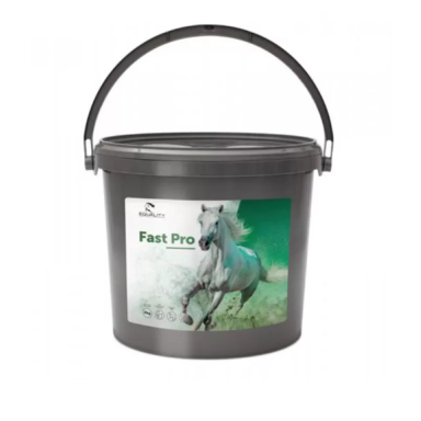 Fast Pro