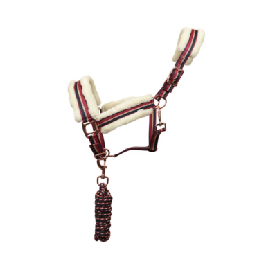 Capastru cu lesa rose gold Equityum