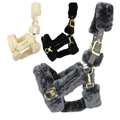 Capastru cu blanita Equityum 