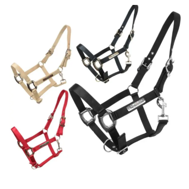 Capastru Horses Scarlett 