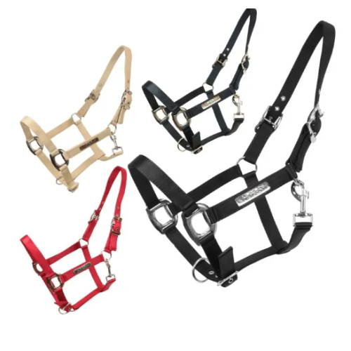 Capastru Horses Scarlett 