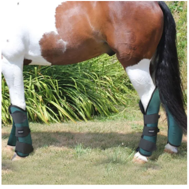 Jambieri De Transport Horses 