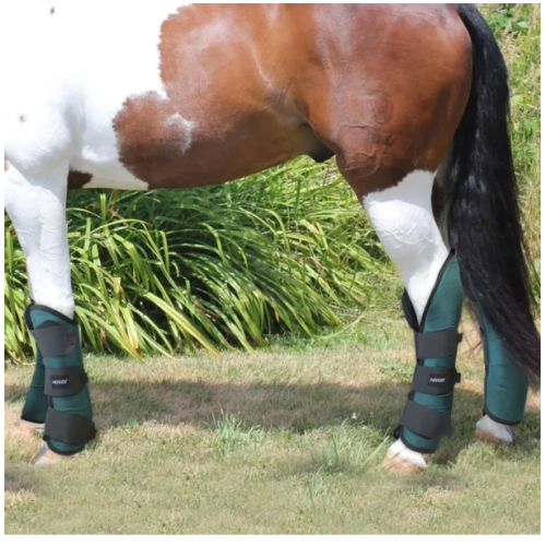 Jambieri De Transport Horses 