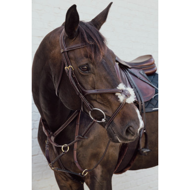 Frau Din  Piele  Mexican Dy ' On