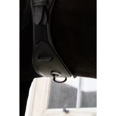 Chinga Anatomica Scurta Kentucky 