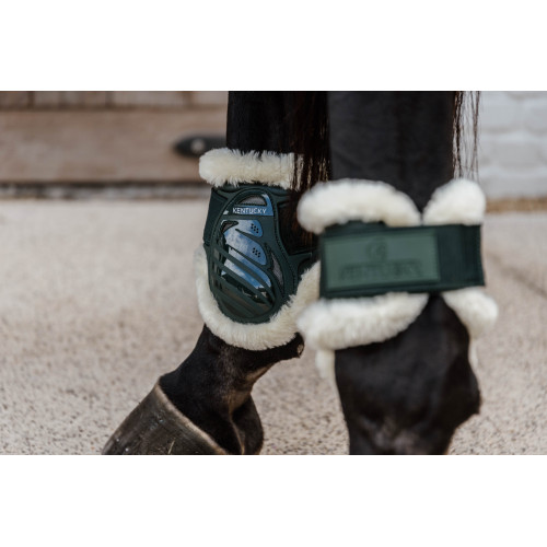 Cositori Cu  Blanita Pentru Cai Tineri  Kentucky 