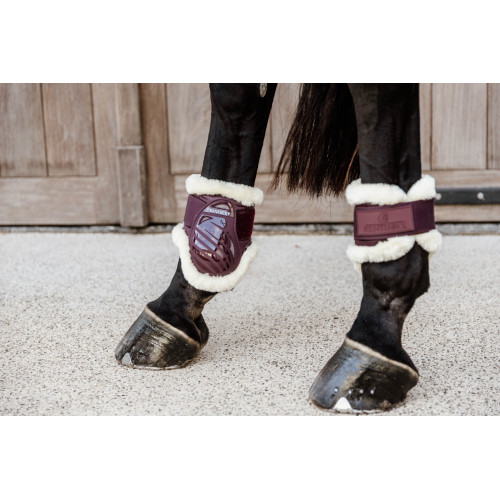 Cositori Cu  Blanita Pentru Cai Tineri  Kentucky 