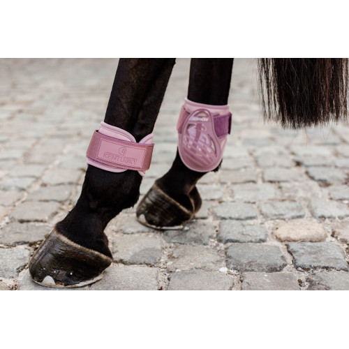 Cositori Pentru Cai Tineri Kentucky 