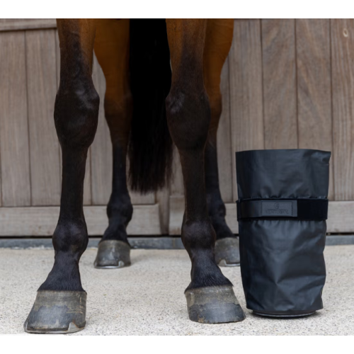 Jambieri Medicali Pentru Gheata Kentucky 