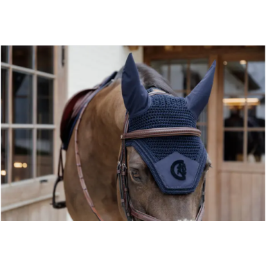 Capison 3D Logo Kentucky 