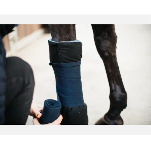 Moltoane  De Recuperare Magnetice Kentucky 