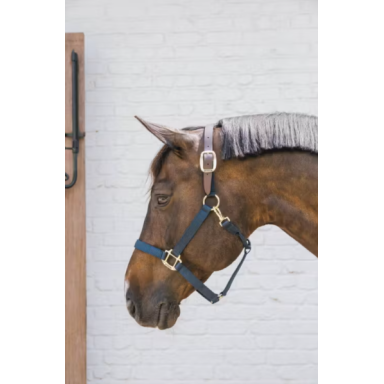 Capastru Din Nylon Kentucky 