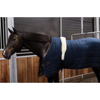 Chinga De Lonjare Cu Blanita Kentucky 