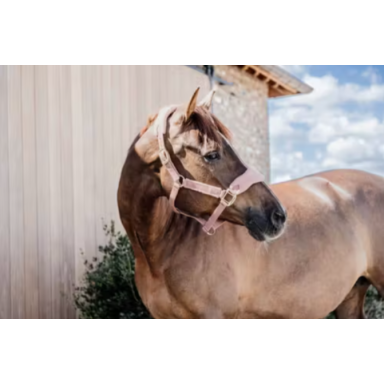 Capastru Cu Fleece Teddy Kentucky 