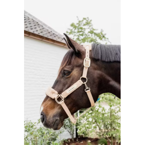 Capastru Cu Fleece Teddy Kentucky 