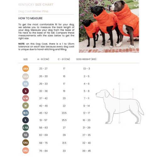 Hainuta De Iarna Pentru Catei Kentuky Pina 