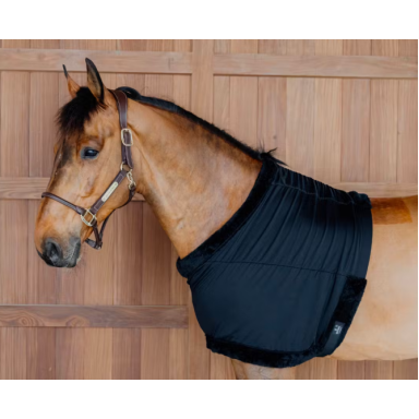 Protectie Pentru Piept Kentucky 