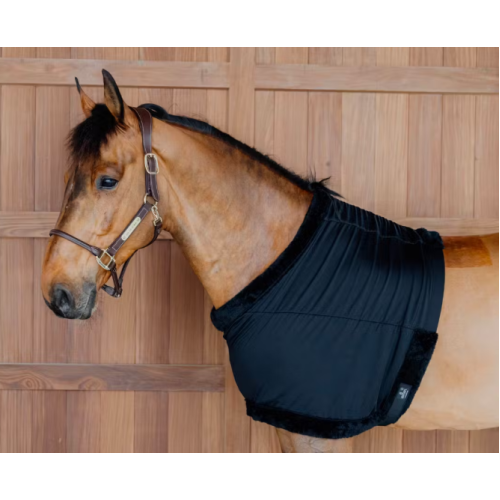 Protectie Pentru Piept Kentucky 