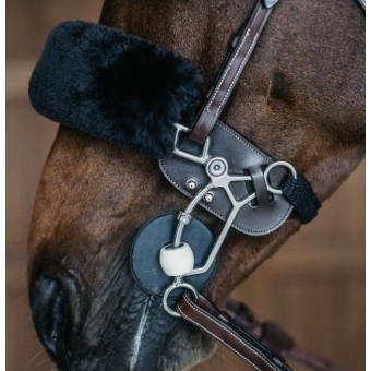 Protectie Din Piele Pentru Hackmore Kentucky 