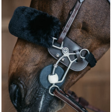 Protectie Din Piele Pentru Hackmore Kentucky 