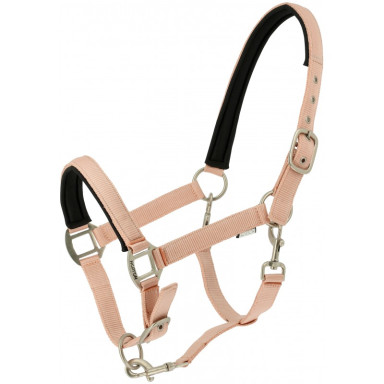 Capastru Norton Nacre 