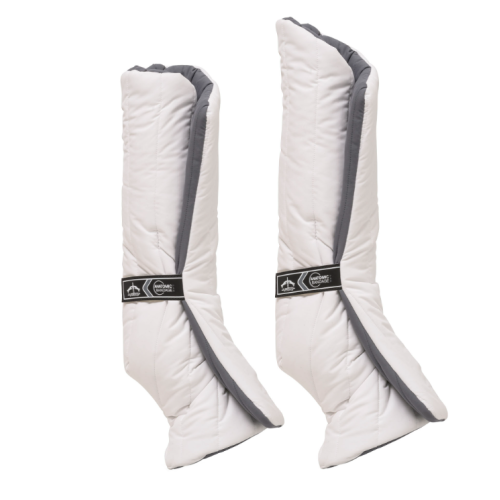 Moltoane   Anatomice Veredus  Fata Spate 