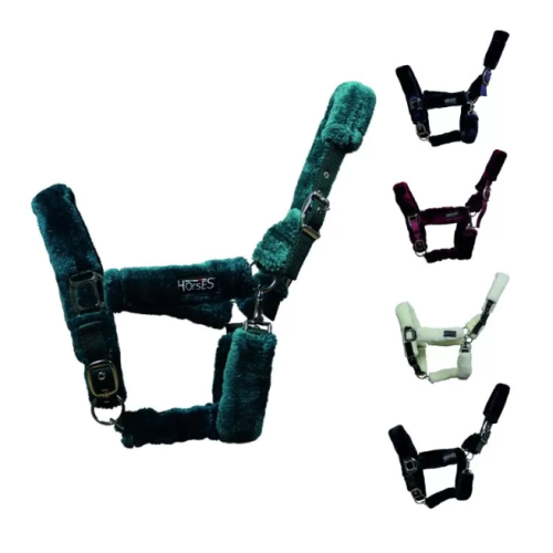 Capastru cu blanita  Horses