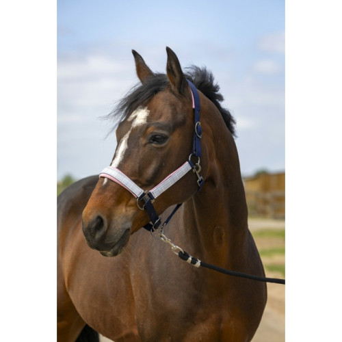 Capastru Equitheme Nylon Check