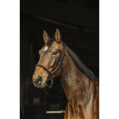 Capastru din Piele si Tesatura Tubulara Norton