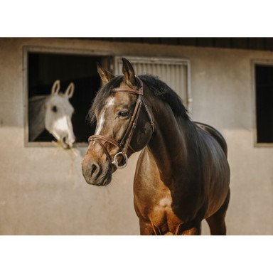 Frau Crown Eric Thomas 