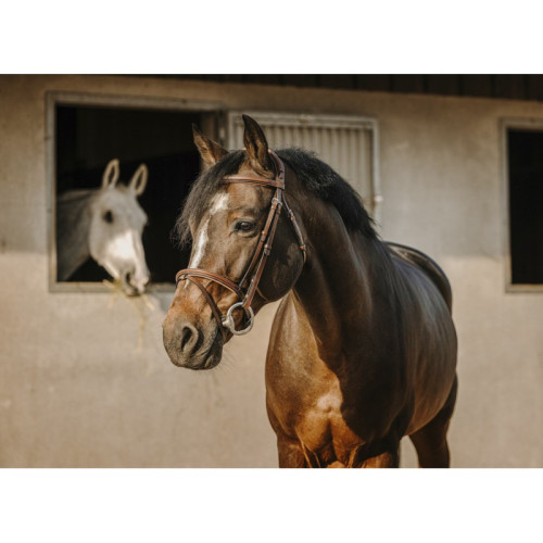 Frau Crown Eric Thomas 