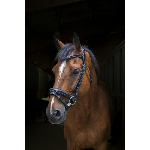 Frau Design Pro Eric Thomas 