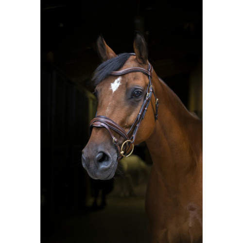 Frau Design Pro Eric Thomas 