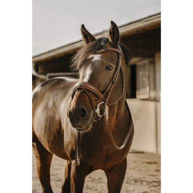 Frau Visby Eric Thomas 