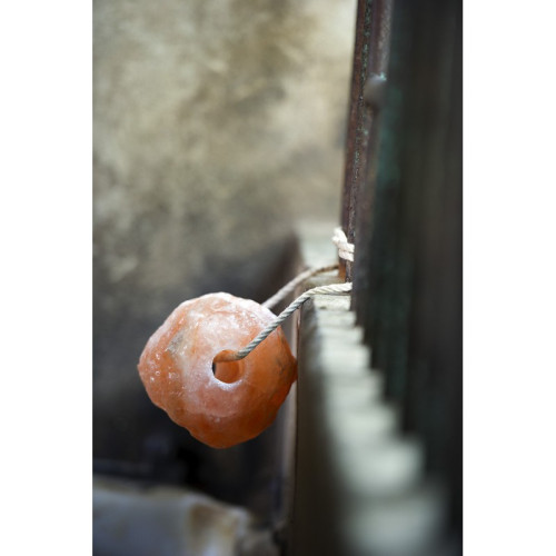 Sare Himalaya Hipptonic 