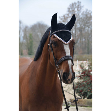 Capison Origine Paddock 