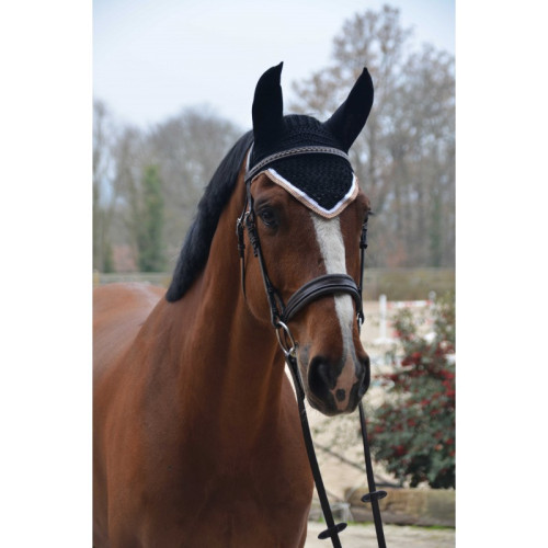 Capison Origine Paddock 