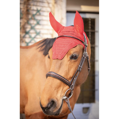 Capison Prems Paddock 