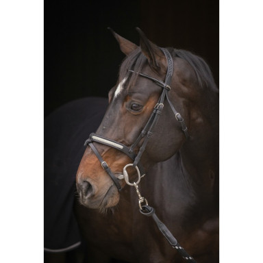 Frau Symphonie Penelope 