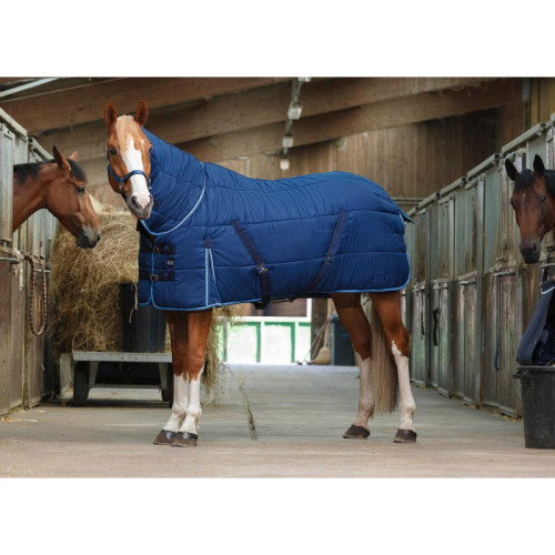 Patura De Grajd Combo Riding World 