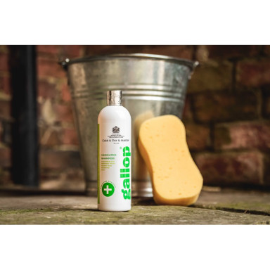 Sampon Antibacterian Gallop Carr & Day & Martin 