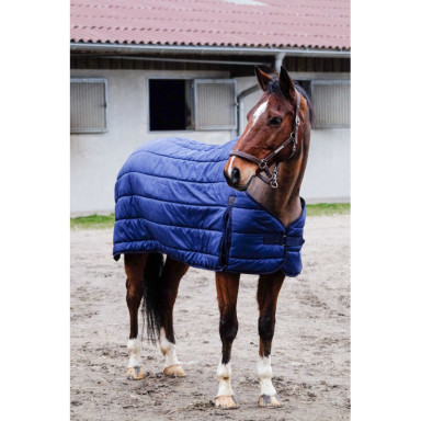 Substrat Pentru Patura Equitheme Classic