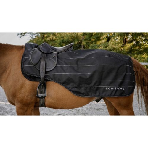 Patura De Exercitiu Equitheme Tyrex Lumin